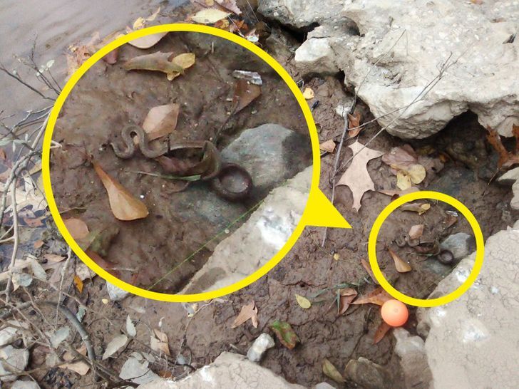 معمای تصویری؛ اجسام پنهان شده در تصاویر را پیدا کنید(قسمت دوم)