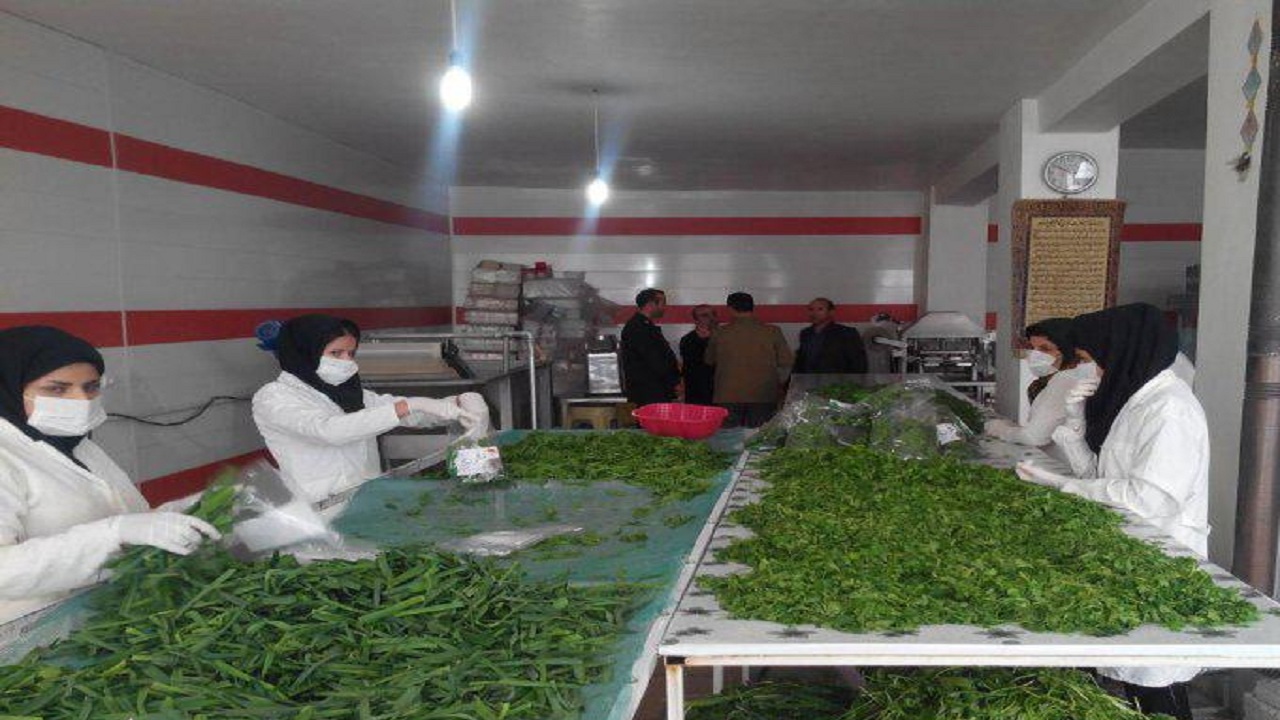 اشتغال زایی برای ۲۰۰ نفر در کارخانه سبزی خشک کنی طبس