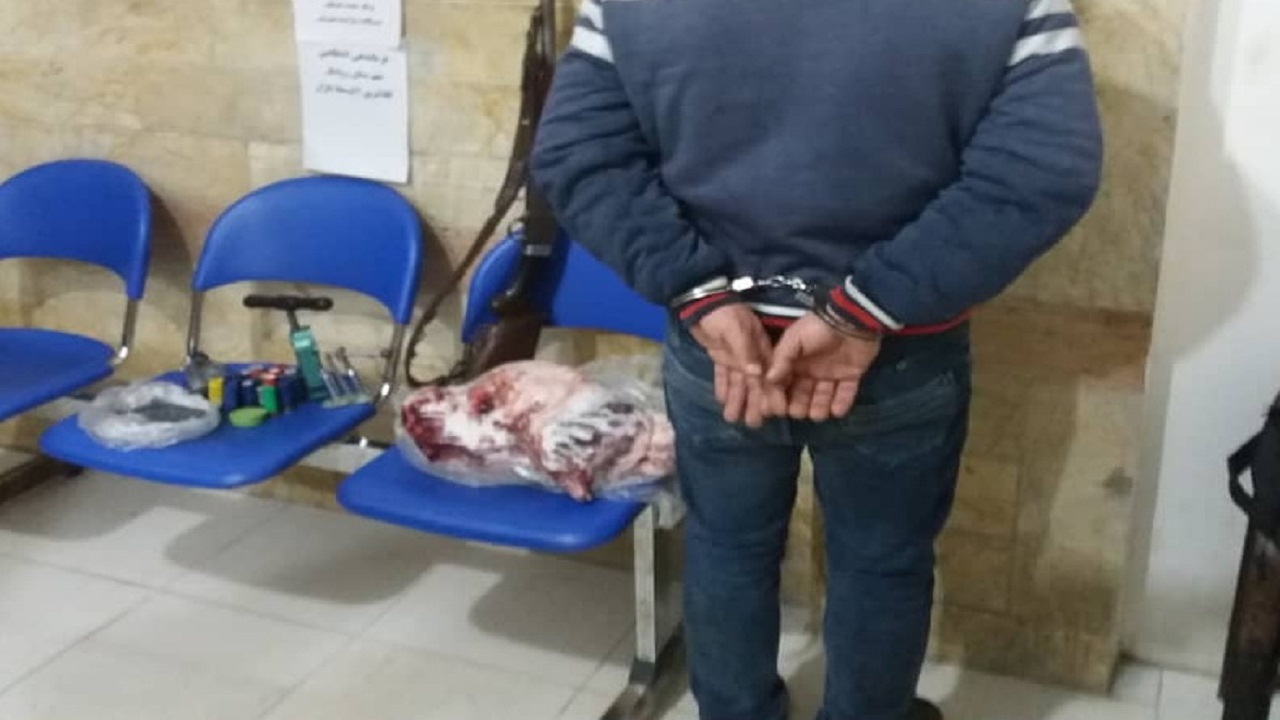 دستگیری شکارچی تَشی در رودبار