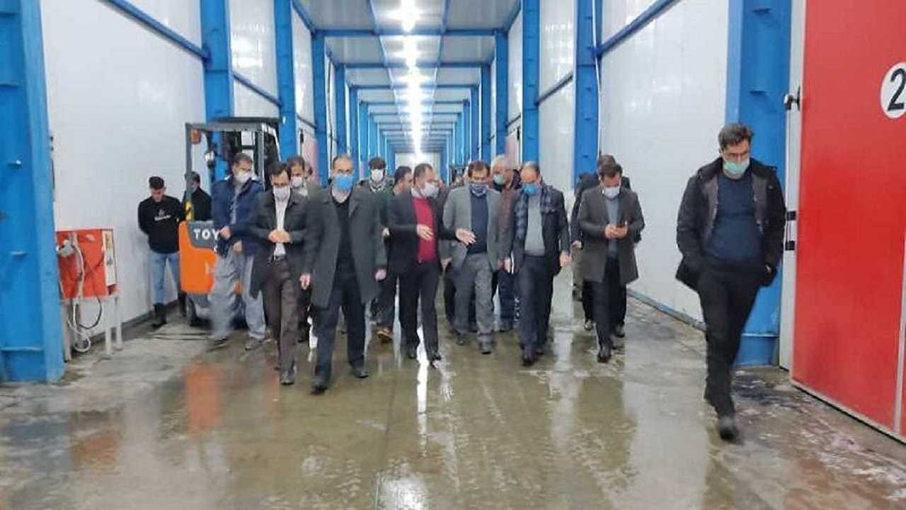 مشکل صادرات سیب برطرف می‌شود