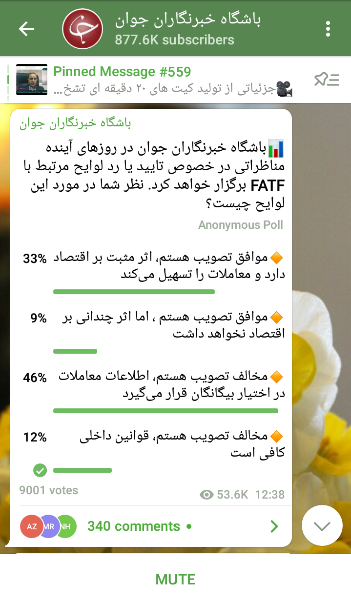 مخالف تصویب FATF هستم؛ اطلاعات معاملات در اختیار بیگانگان قرار می گیرد