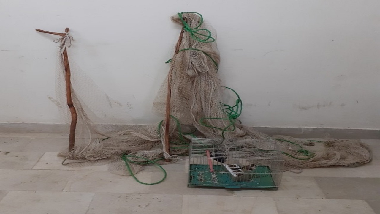 دستگیری متخلف زنده گیری سهره طلایی در شهرستان گرمی