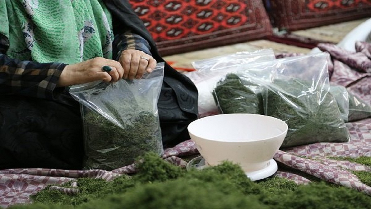 پرداخت ۸۵ درصد از تسهیلات اشتغال خانگی شهرکرد
