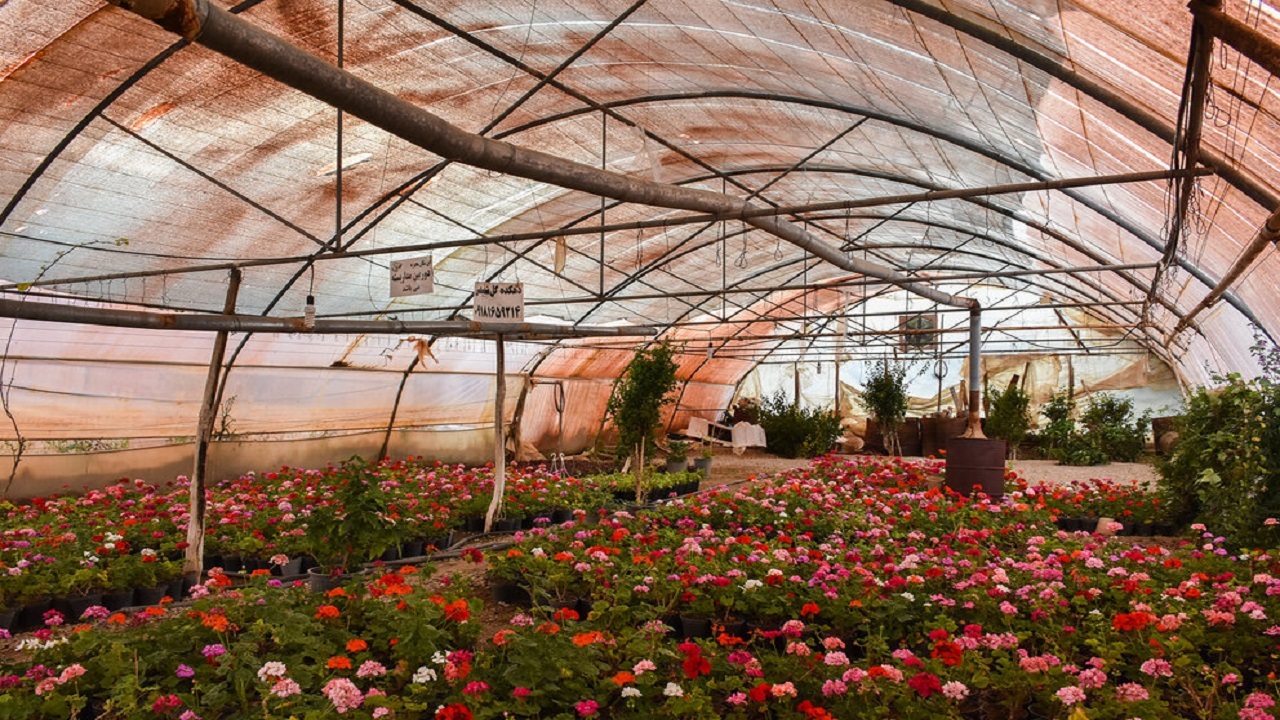 گلخانه داران خسارت دیده، دادخواست مطالبه خسارت ارائه دهند