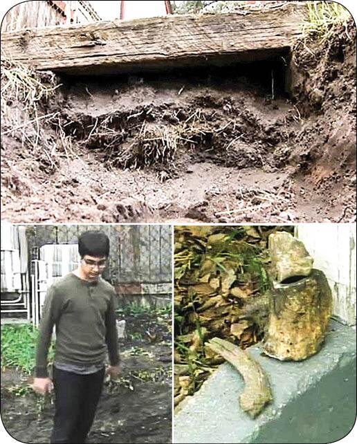 گنجهایی در باغچهها! + تصاویر گنجهایی در باغچهها! + تصاویر