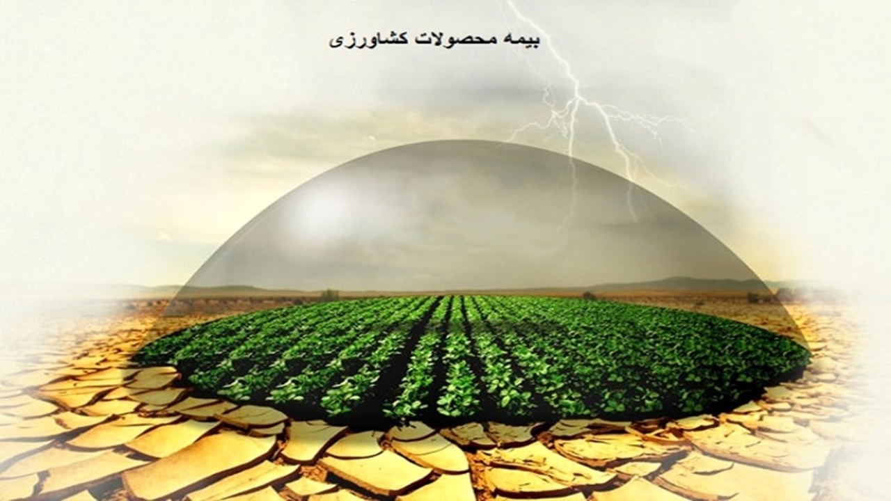 پانزدهم دی ماه آخرین مهلت بیمه محصولات زراعی