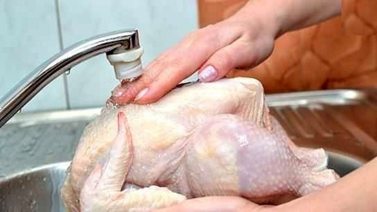 شستن یا نشستن مرغ چقدر مهم است؟