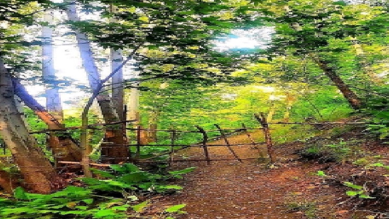 تصاویری زیبای باغی در طرقبه  از سه فصل در یک قاب