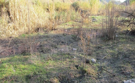 بقایای ویرانی سیل در بزرگ&zwnj;ترین انارستان متمرکز ایران