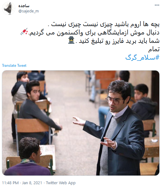 سلام گرگ 