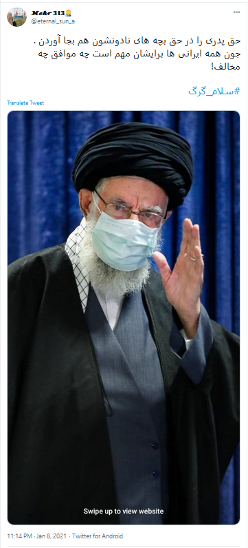 سلام گرگ 