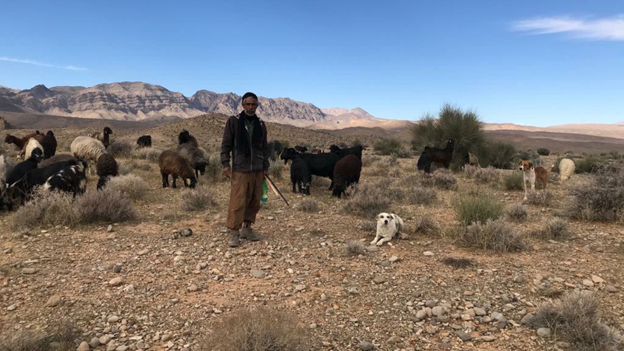 نجات جان مرد فسایی در ارتفاعات چناران