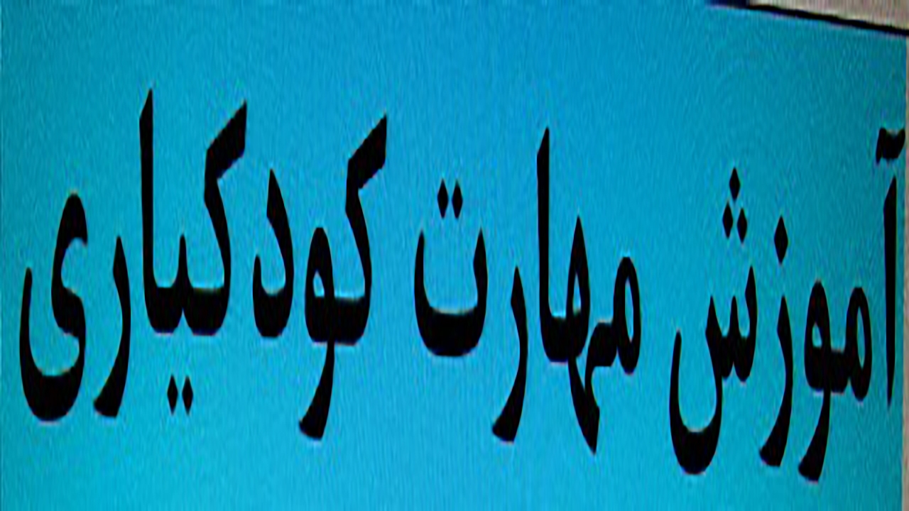 طرح آموزش کودک یاری برای دانش‌آموزان کرمانی اجرا می شود