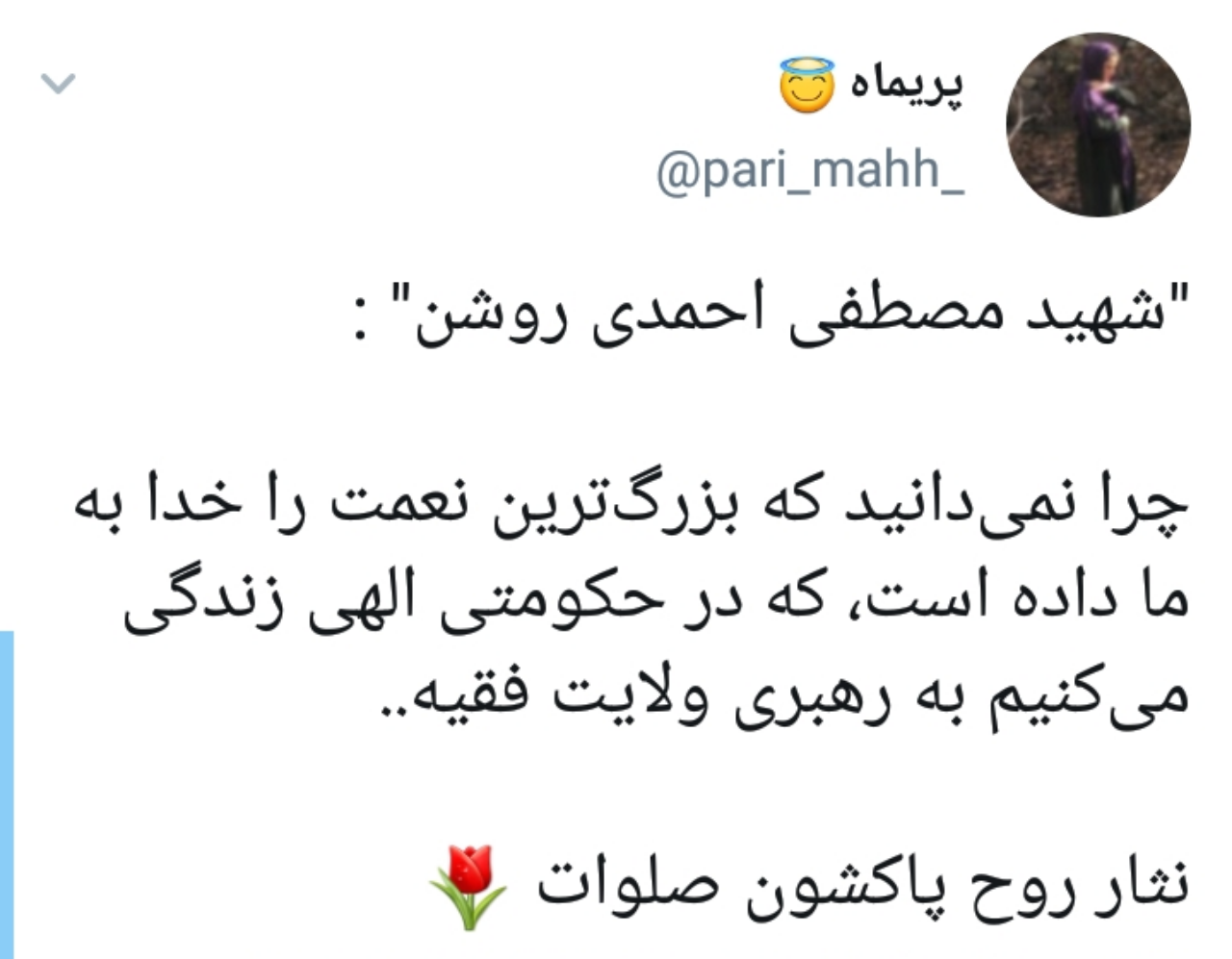   شهید مصطفی احمدی روشن