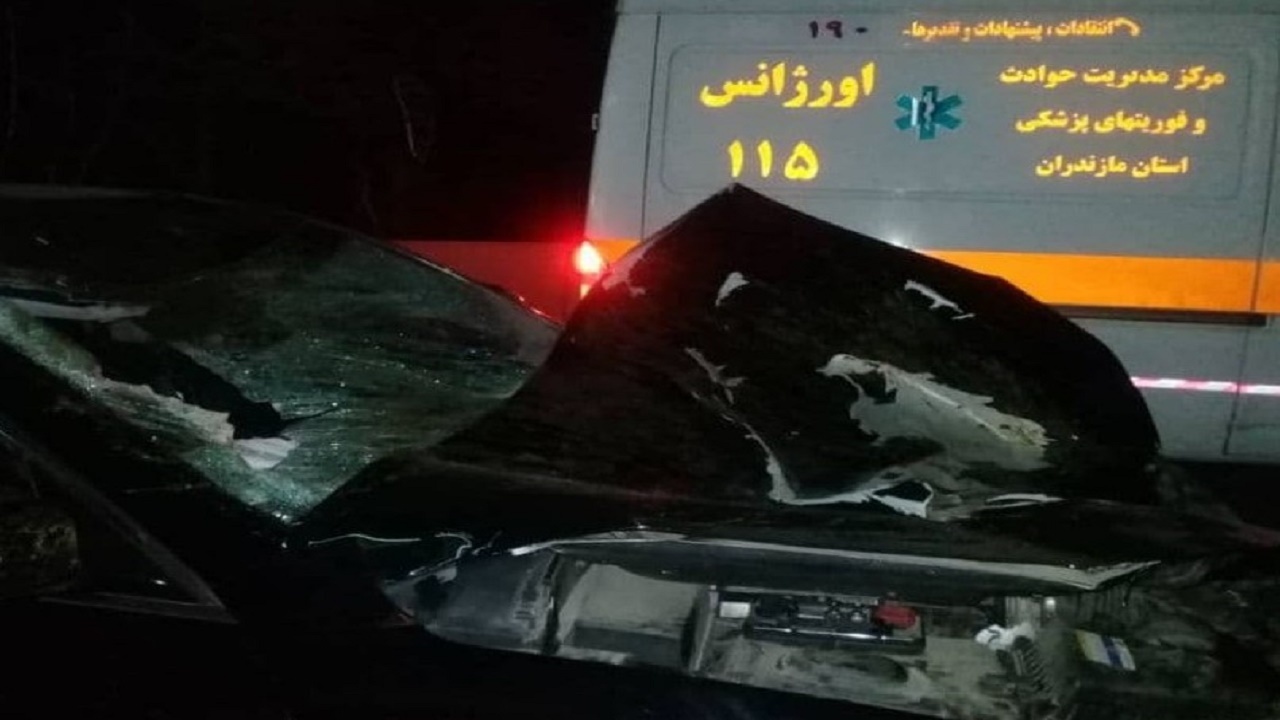 شاخ به شاخ شدن اسب با خودرو