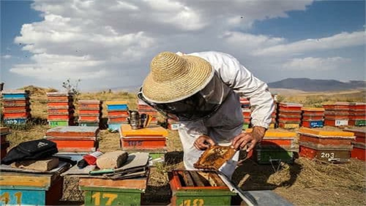 آموزش مهارت به بیش از ۲ هزار سرباز مددجو کمیته امداد