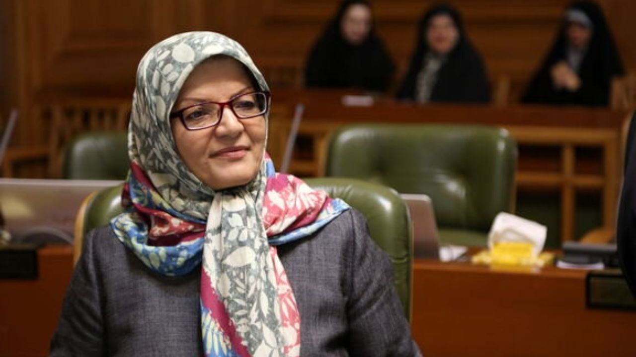 ایران برای تولید برق پتانسیل استفاده از سوخت هسته‌ای را دارد/ انکار مصرف مازوت از سوی برخی نیروگاه‌ها