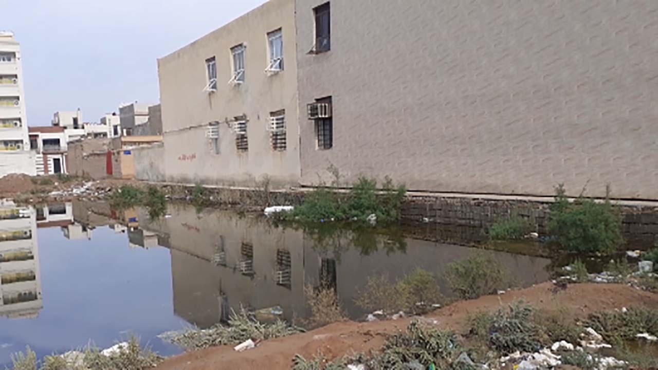 بهداشت اسفناک معابر در منطقه کیانپارس + فیلم