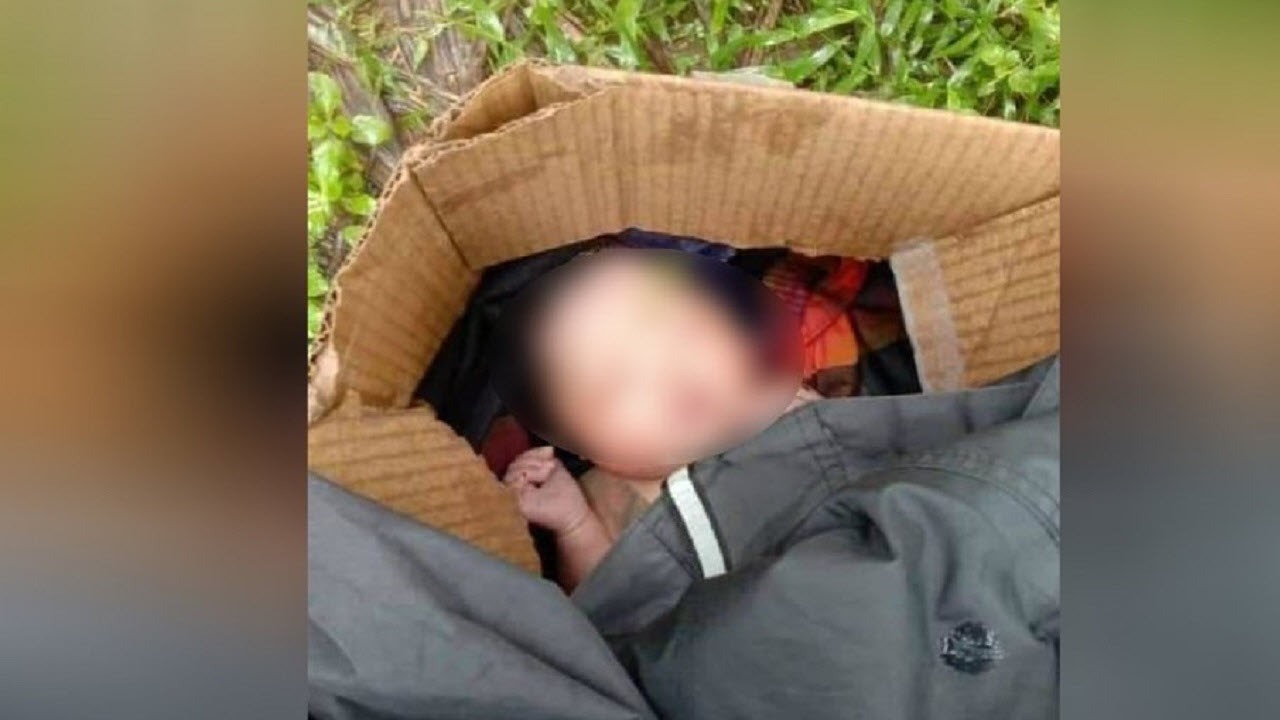 سگ ولگرد، جان نوزاد سر راهی را نجات داد!