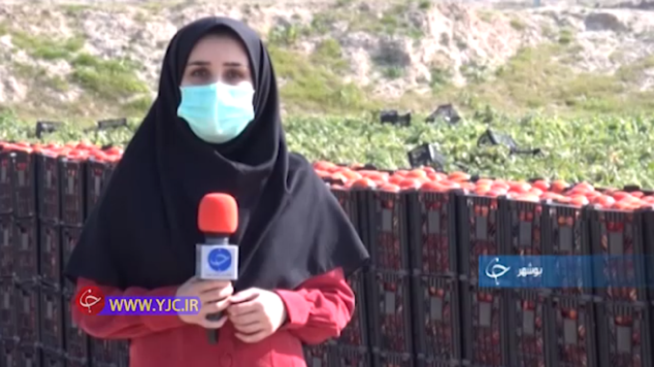 گرمای کار و تولید در سرمای زمستان +فیلم