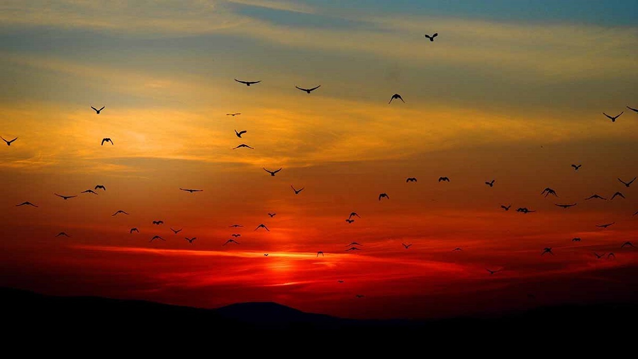 چرا هنگام غروب خورشید آسمان قرمز می‌شود؟