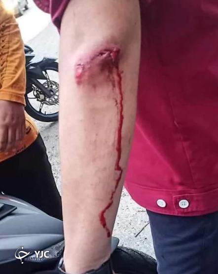 پرواز زوج جوان 