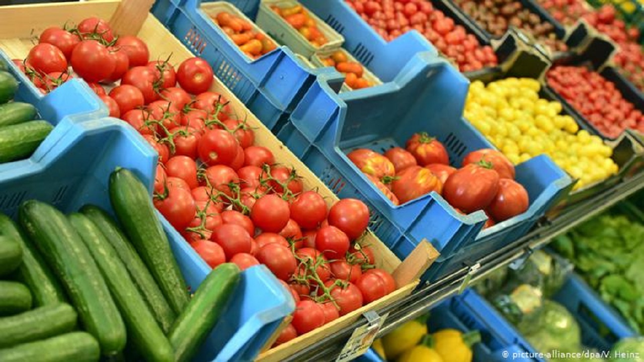 کیفیت رژیم غذایی چه ارتباطی با میزان هوش فرد دارد؟