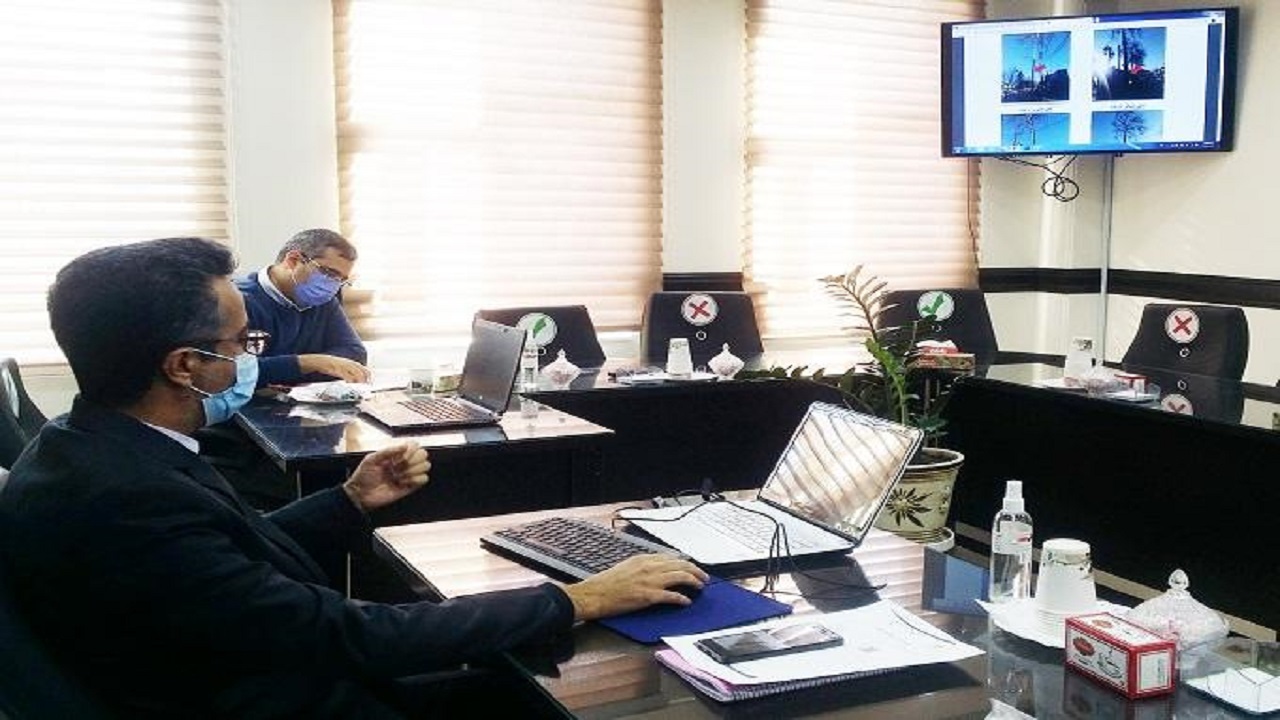 استفاده از توموگرافی در نگهداری درختان سطح شهر