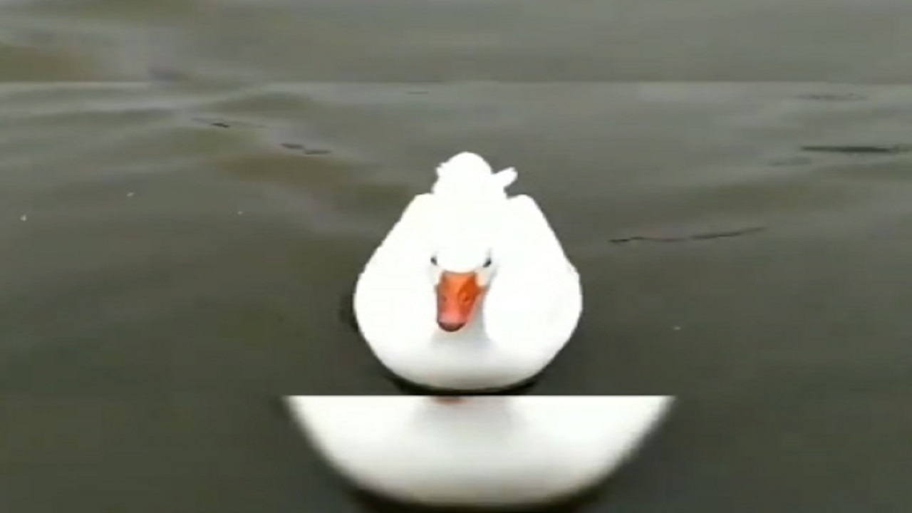 از