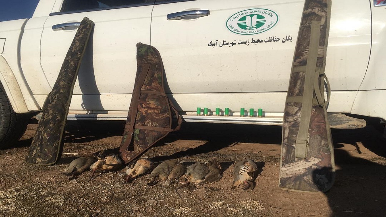 دستگیری چند شکار چی متخلف در آبیک