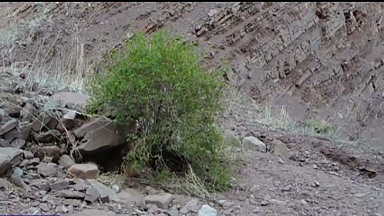 نمایی از طبیعت کوهستانی در روستای چشمه‌کنان + فیلم