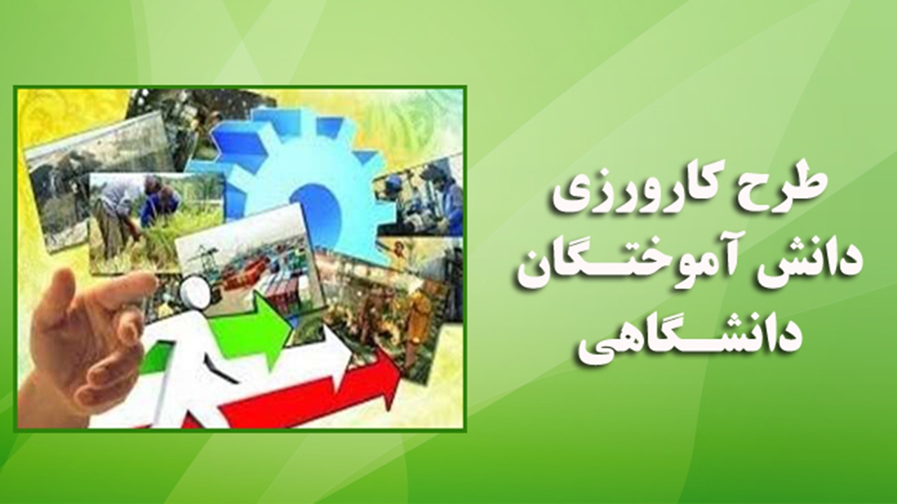اشتغال بیش از ۱۹۰ گلستانی درطرح کارورزی