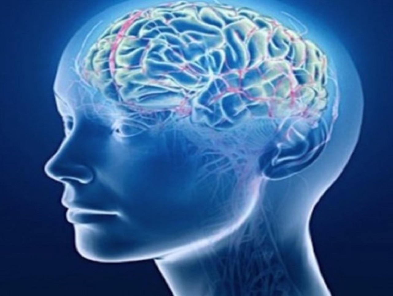 از زنگ خطر تعریق شبانه برای سلامت بدن تا چگونگی بیدار شدن مغز