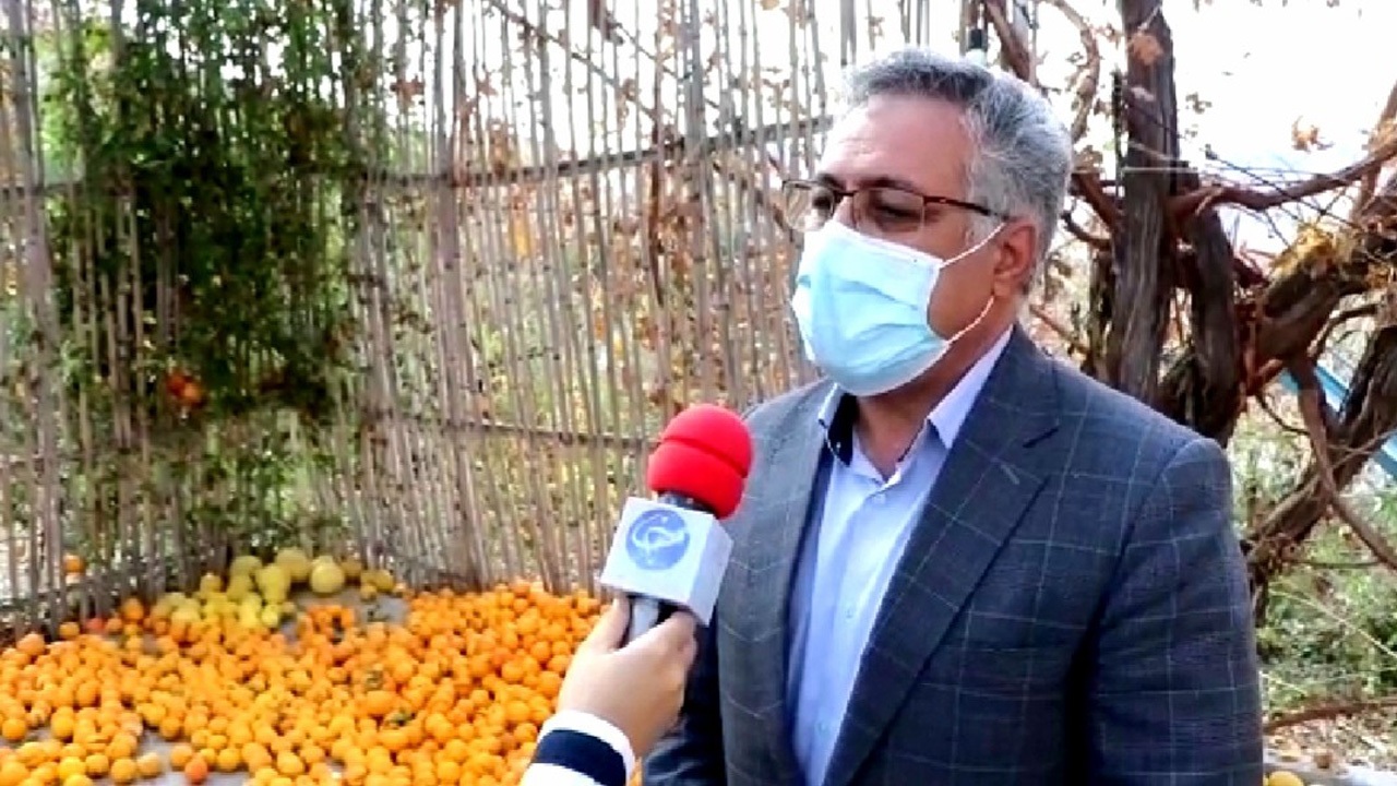 مشکل ارتباط تلفن همراه در جنوب حل می‌شود