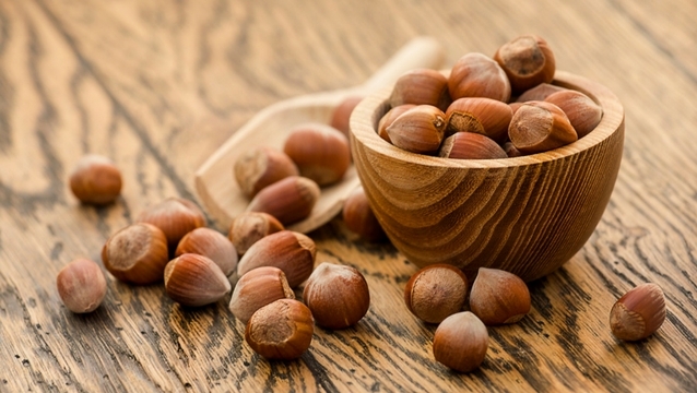 فندق 