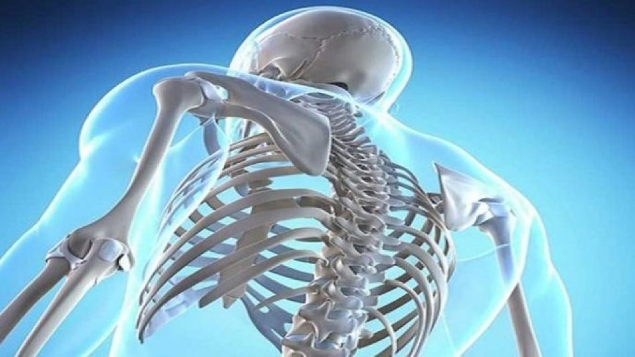 مخرب‌ترین مواد غذایی برای سلامت استخوان‌ها