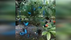 کلیسای «مدونا دلا کرونا»، در دل کوه + فیلم