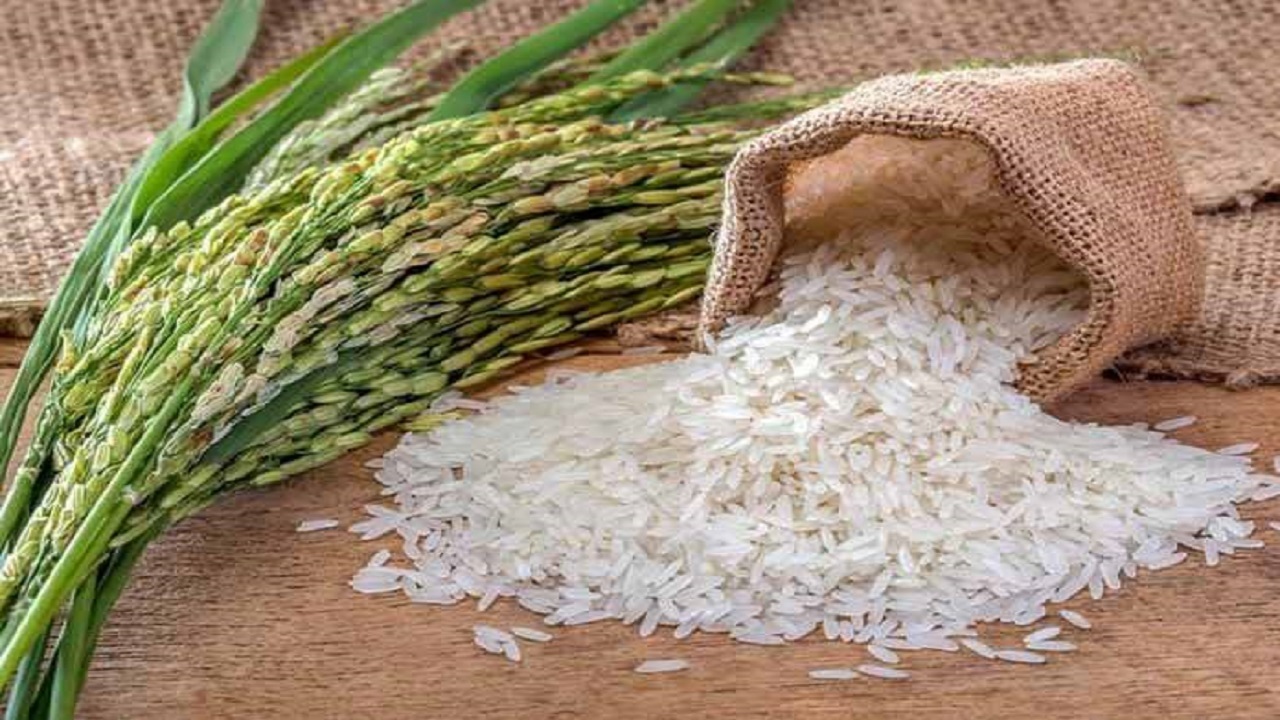 جزئیات ورود برنج به بورس کالا