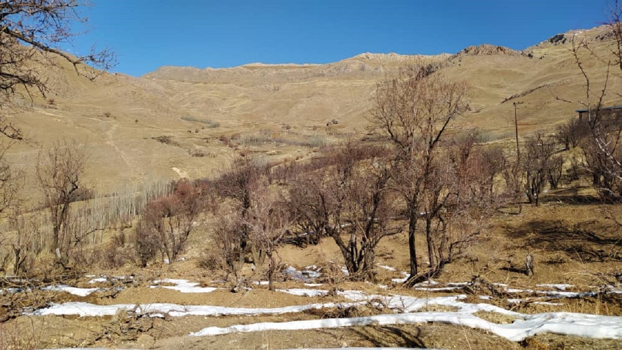 هوای پاک