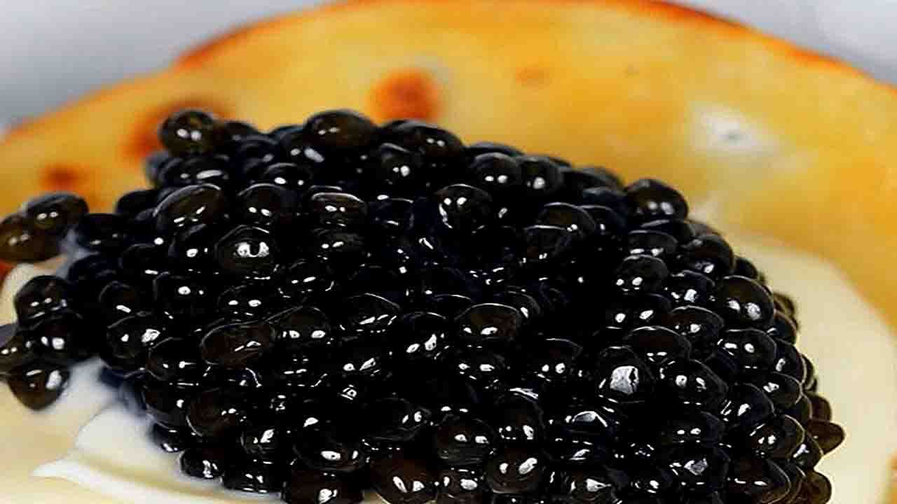 گران ترین خوراکی جهان را بیشتر بشناسید