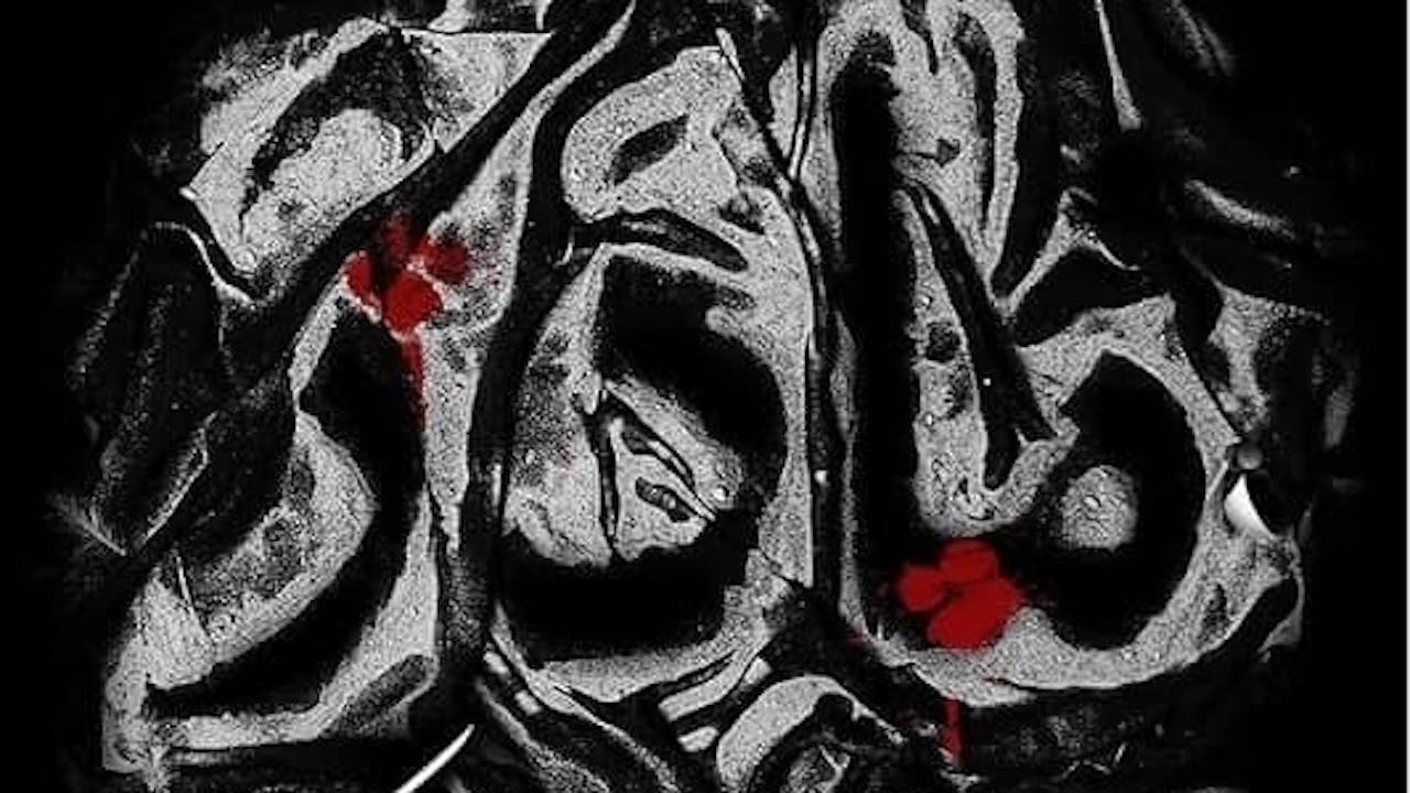 به علی (ع) قسم که فاطمه (س) تو اولین مدافع حرمی