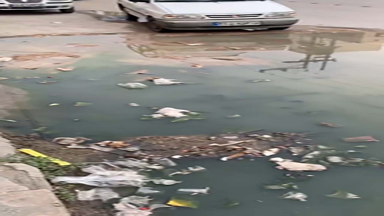 آلودگی محیط زیست در خیابان‌های اهواز + فیلم