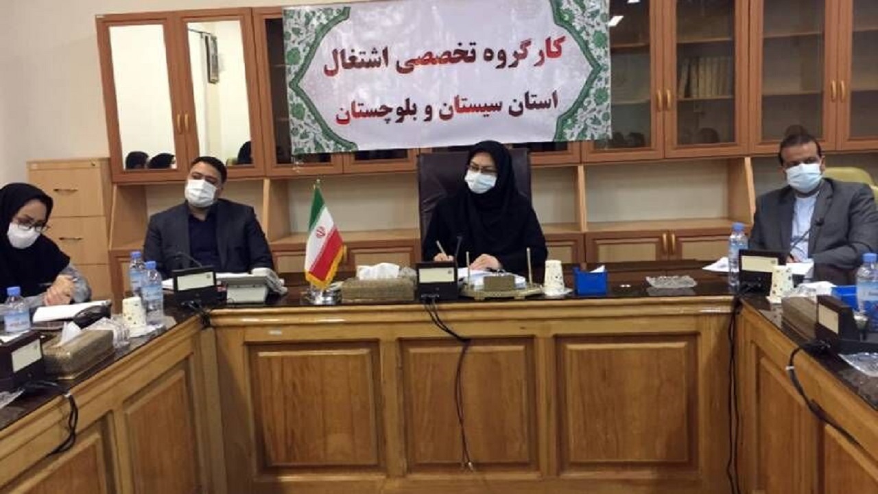 افزون‌بر ۲ هزار نفر در طرح ملی حمایت از مشاغل خانگی نام‌نویسی کردند