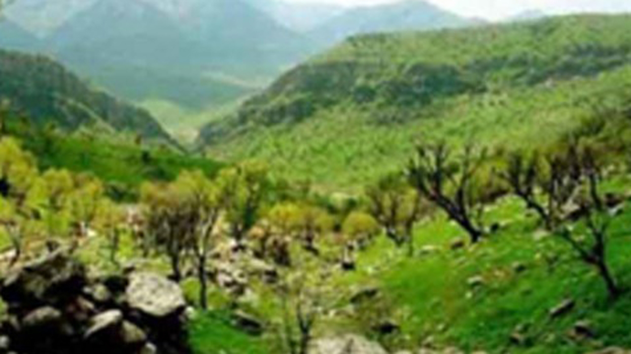 تداوم عملیات قرق در منطقه جنگل کاری پیر سرخ ممسنی
