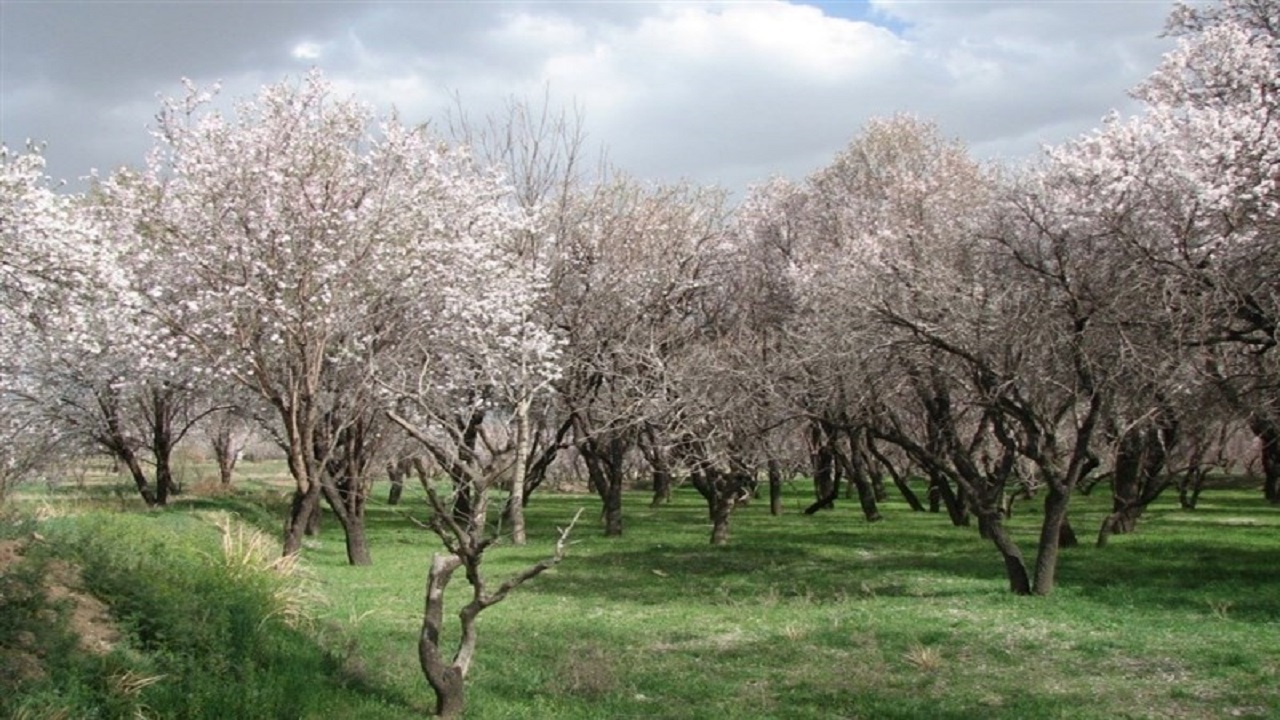 تغییر کاربری در باغستان سنتی قزوین؛ ممنوع