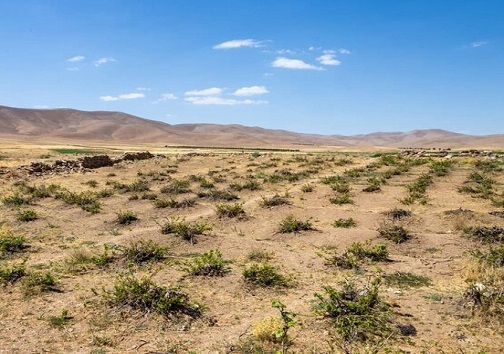 رنج بی&zwnj;آبی مزارع شرق اصفهان و سالها امید به زاینده&zwnj;رود خشک
