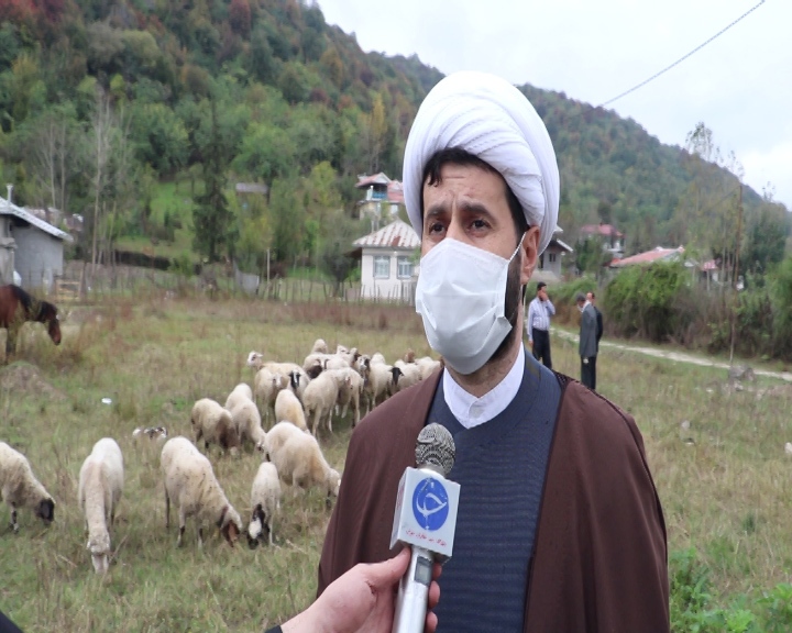 گیلان، استان پیشتاز کشور در زمینه تولیدات دامی