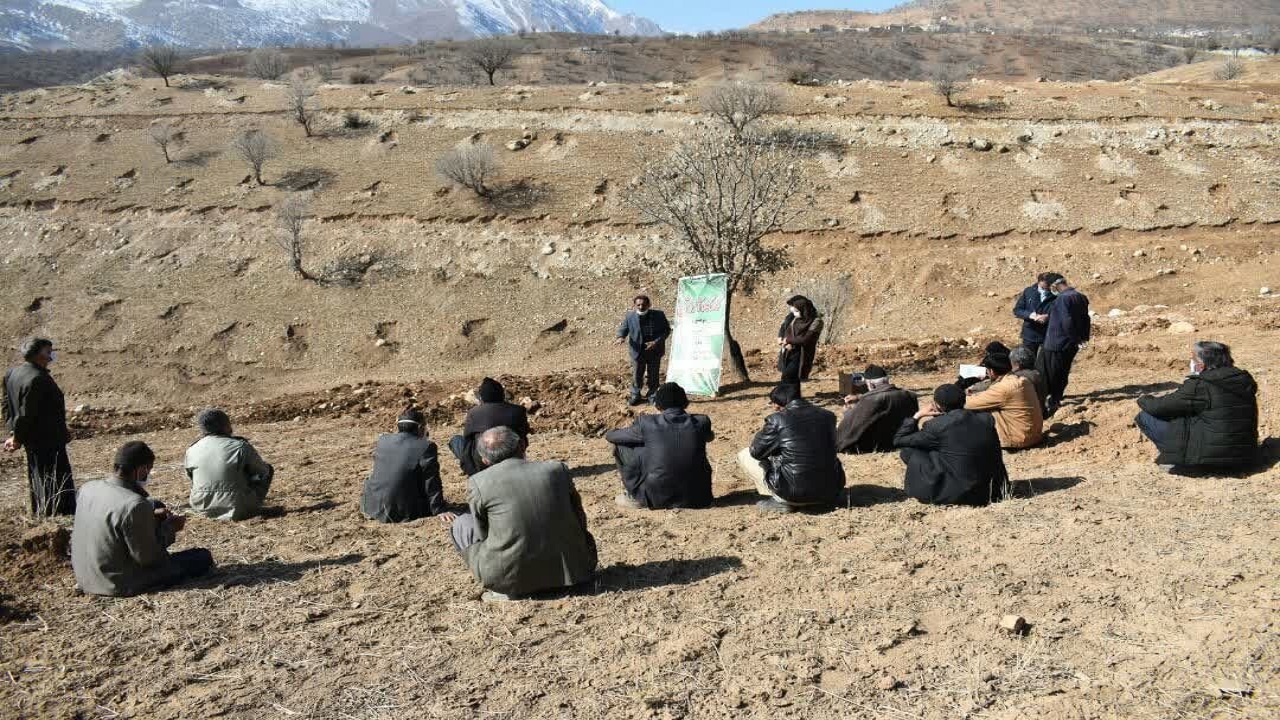 آموزش هسته کاری و کاشت نهال در روستای ممسنی اردل