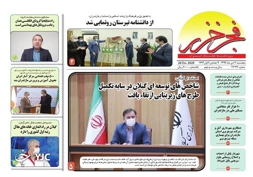 سیگنال ممنوعیت صادرات مرکبات از پایتخت/گل بود، به سبزه نیز آراسته شد!