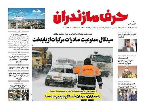 سیگنال ممنوعیت صادرات مرکبات از پایتخت/گل بود، به سبزه نیز آراسته شد!